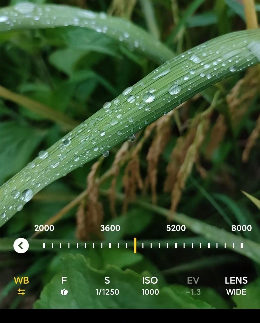 红米note9 pro,在外观上有独特的韵味,还拥有强大的系统和配置