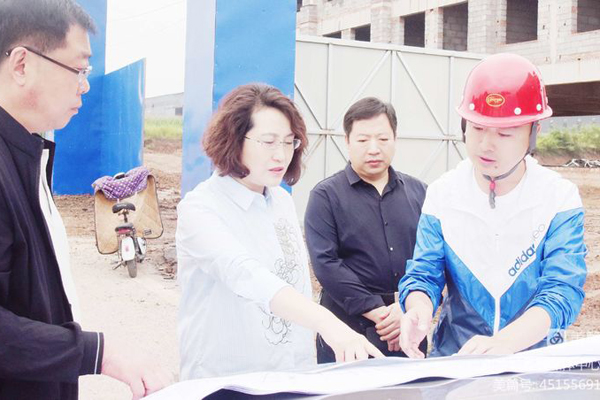 牛晨霞调研重点项目建设进展情况