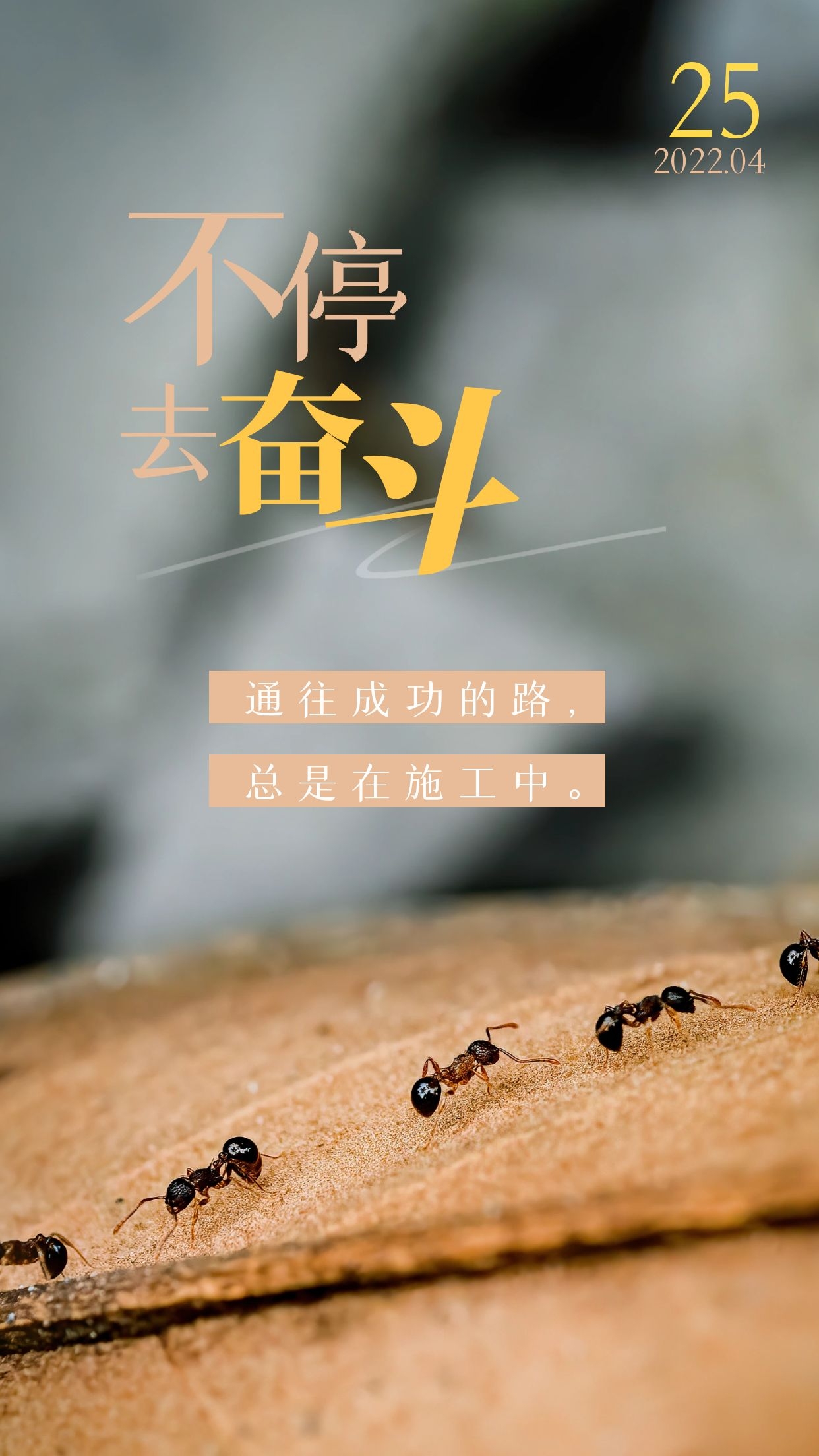 新周正能量早安语录图片,行动是成功的开始,等待是失败的源头