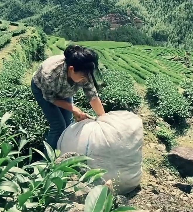 福建女孩沈丹:破產單親媽媽,三年成千萬富婆,一天漲粉近百萬!