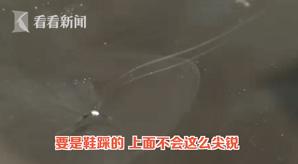 推荐|5个熊孩子车顶“蹦迪”车损1万，没有家长肯担责：踩一下不至于坏了