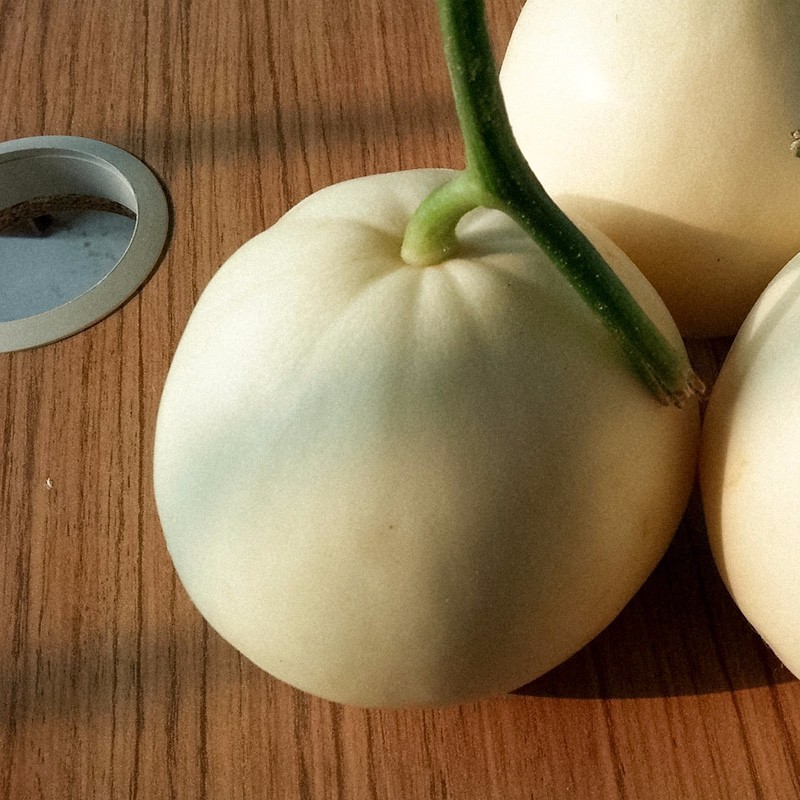 雪奶香1号甜瓜有着高颜值外表,搭配甜甜的内心,俘获吃货们的心