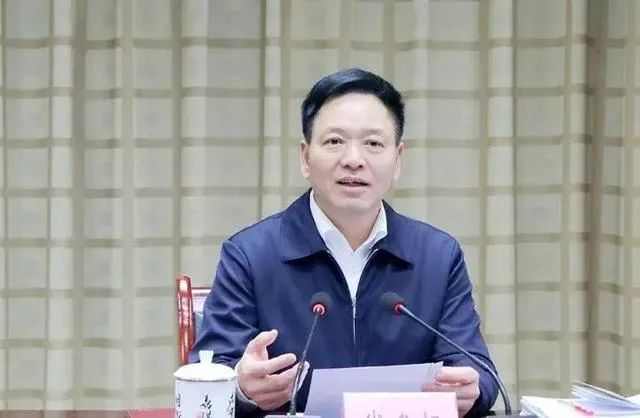 重庆的县委书记级别图片