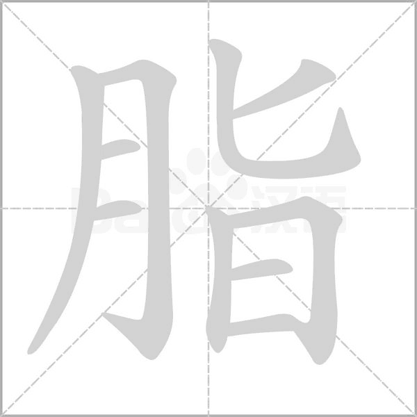 第5课《琥珀》生字预习,四年级下册