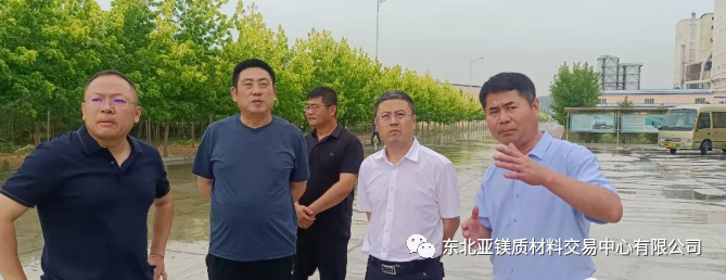 海城副市长赵旭带队到矿山企业督导检查菱镁综合整治工作