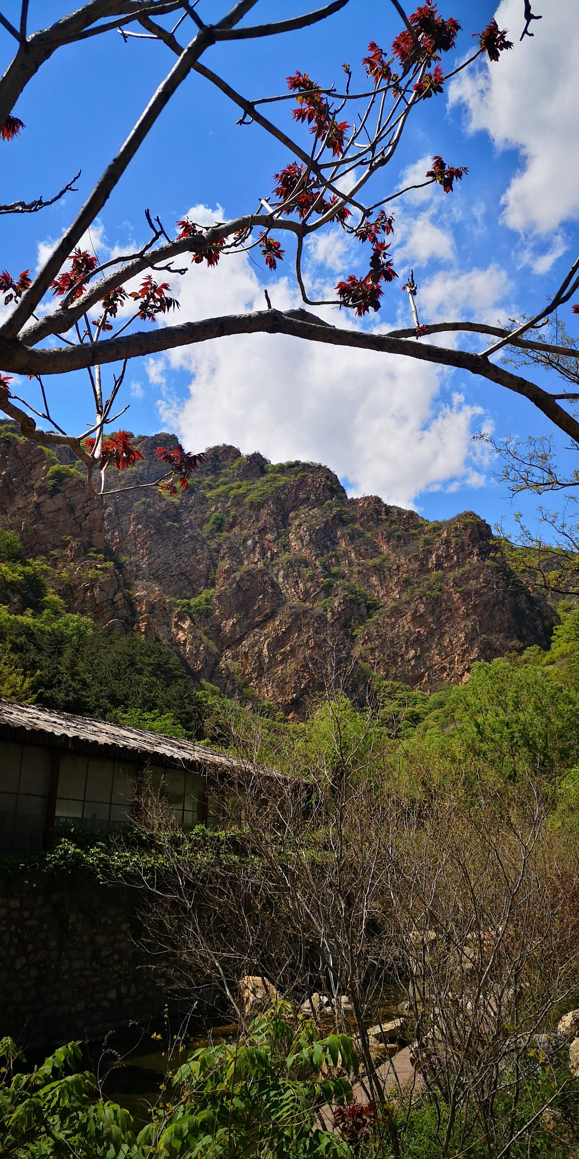 天津蓟州梨木台景区旅游攻略:上山坡缓不累,走栈道下山景色更美