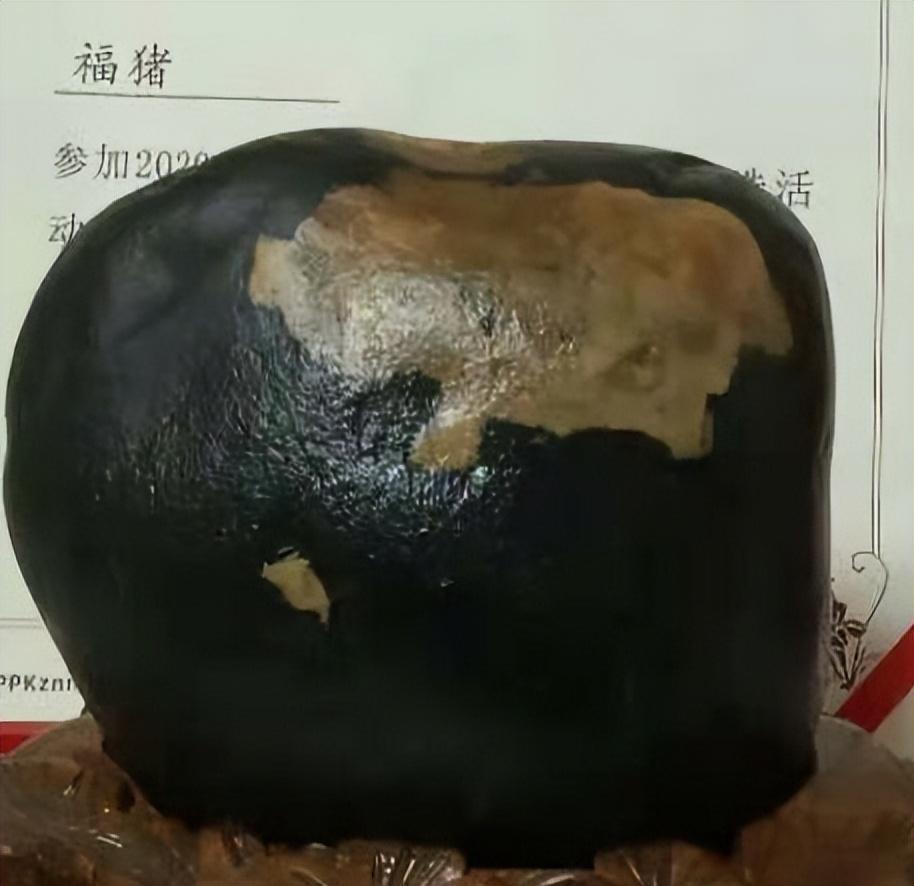 湖北宜昌的石友,他有一块6.8亿年前的金猪奇石,鉴定值2100万