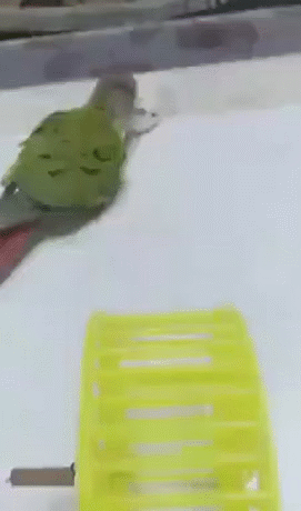 271_460竖版 竖屏gif 动态图 动图