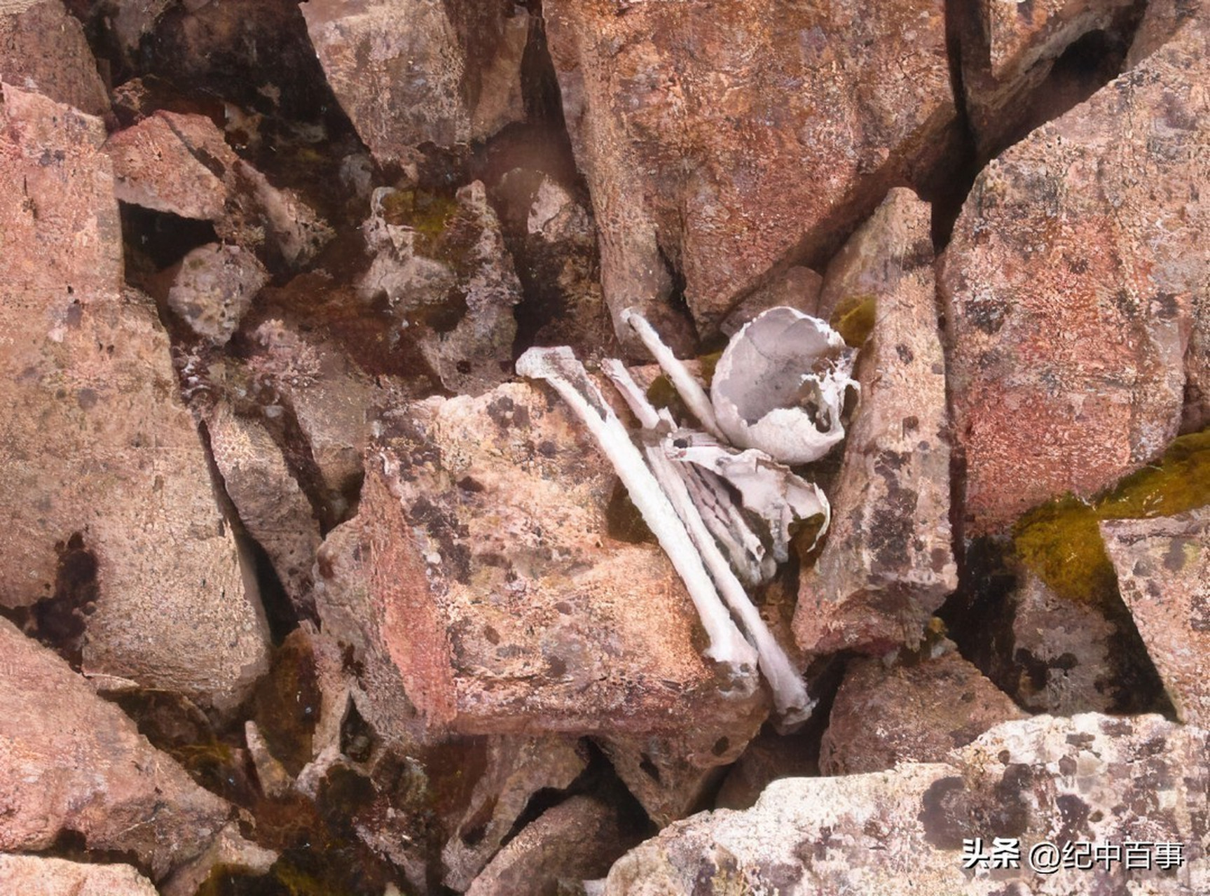 1998年,青海一农民在耕地时,无意中挖出了一具姿态诡异的白骨