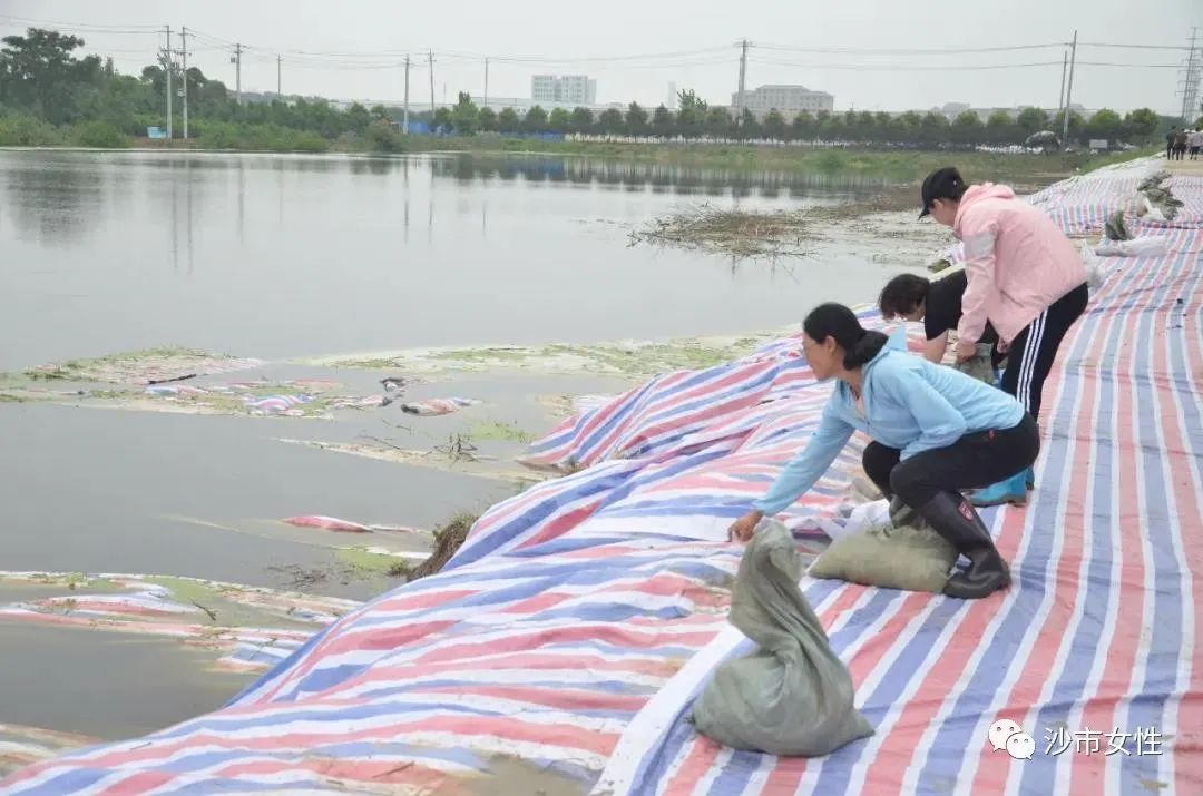 防汛抢险