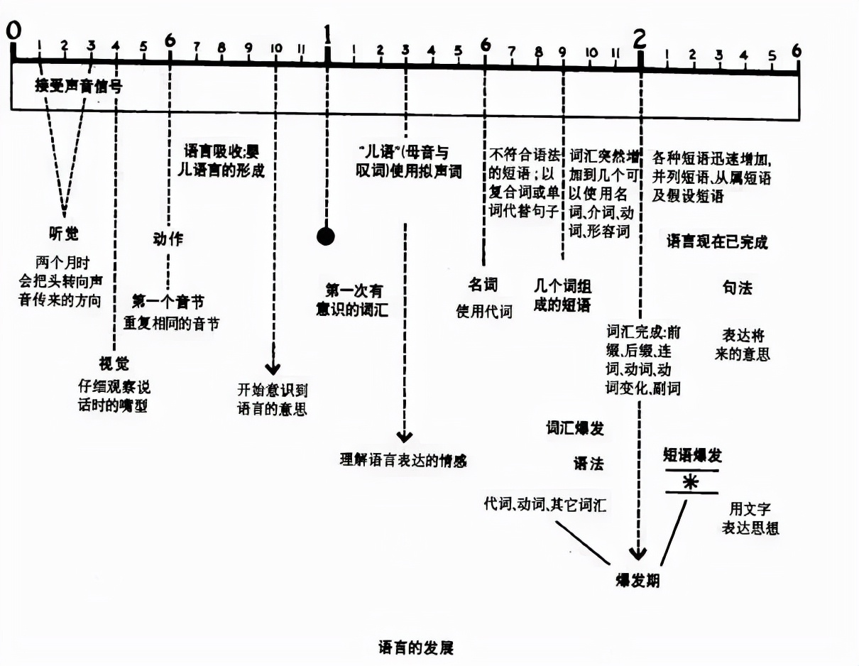 孩子语言敏感期,父母该怎样做?培养娃的语言能力,谨记这5步