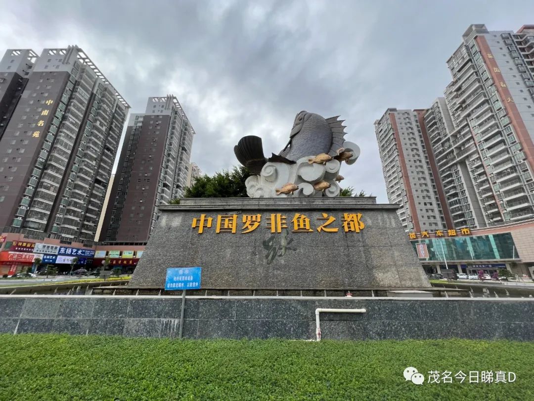 最靓的街——茂南大道,扩建临近尾声,但还有几块"硬骨头"未啃