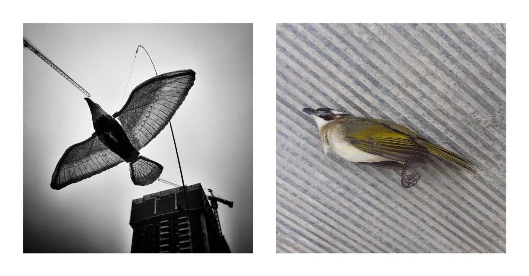 凡是摄影微影赛(159)-《并置》候选作品投票