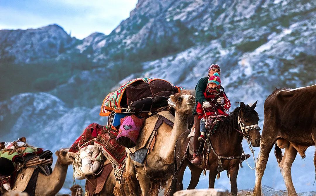 李娟与冬牧场丨你的生存,我的牧歌