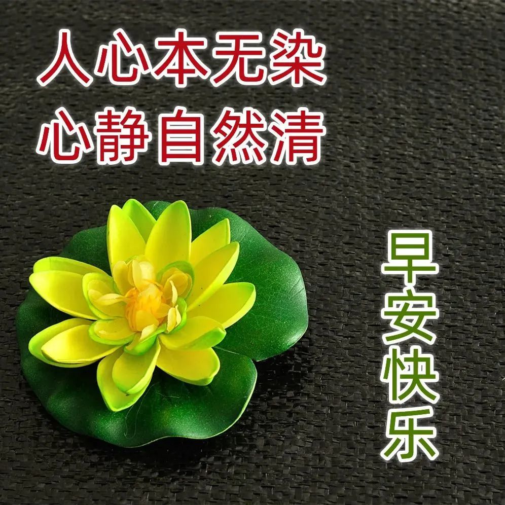 最新早安问候祝福动态表情图片 特别暖心的早上好问候