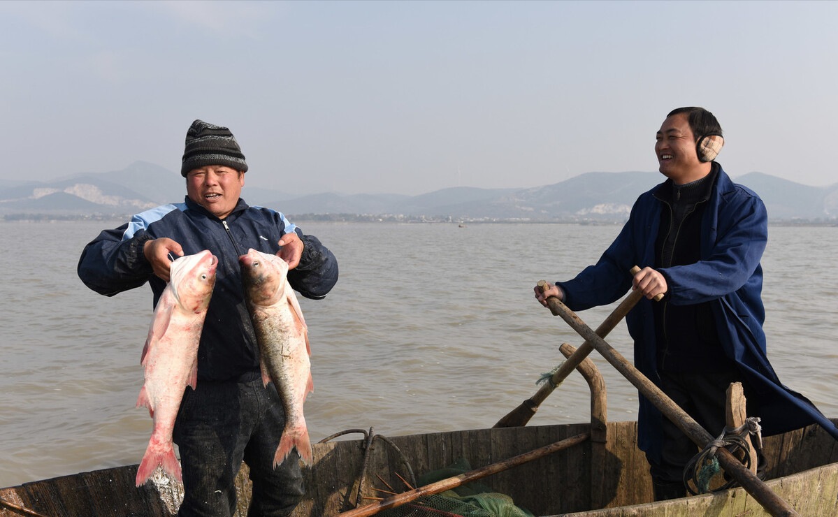 巢湖的隐患"长江鱼库"散财70年,淤泥引发"营养危机?