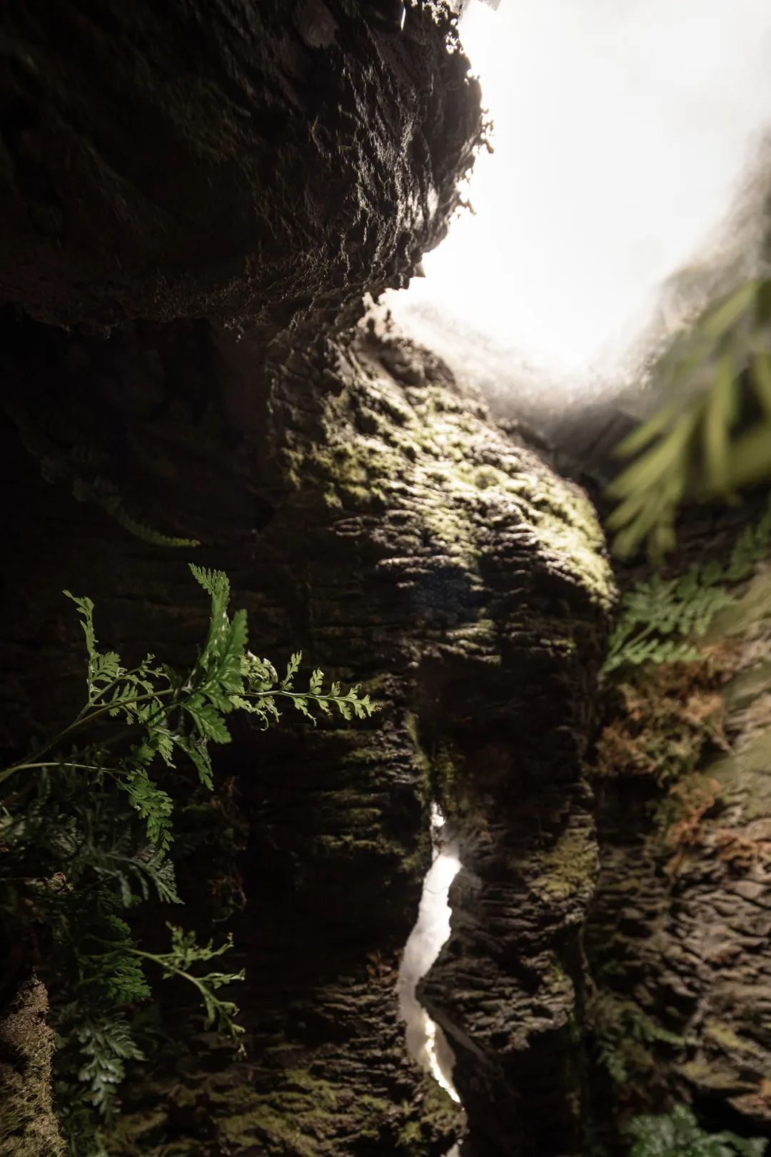 佛山中海山语湖:融景造物,灵感筑家