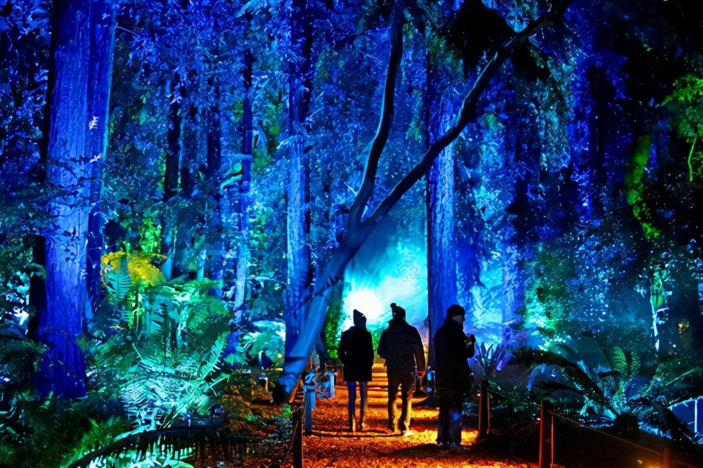 「全息森林公园」森林公园灯光秀,带你玩转光影世界