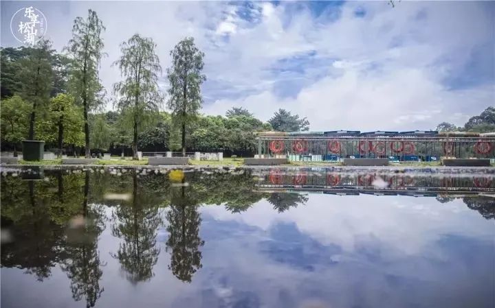 美如画!一起去东莞这些公园里"捕捉"秋天!