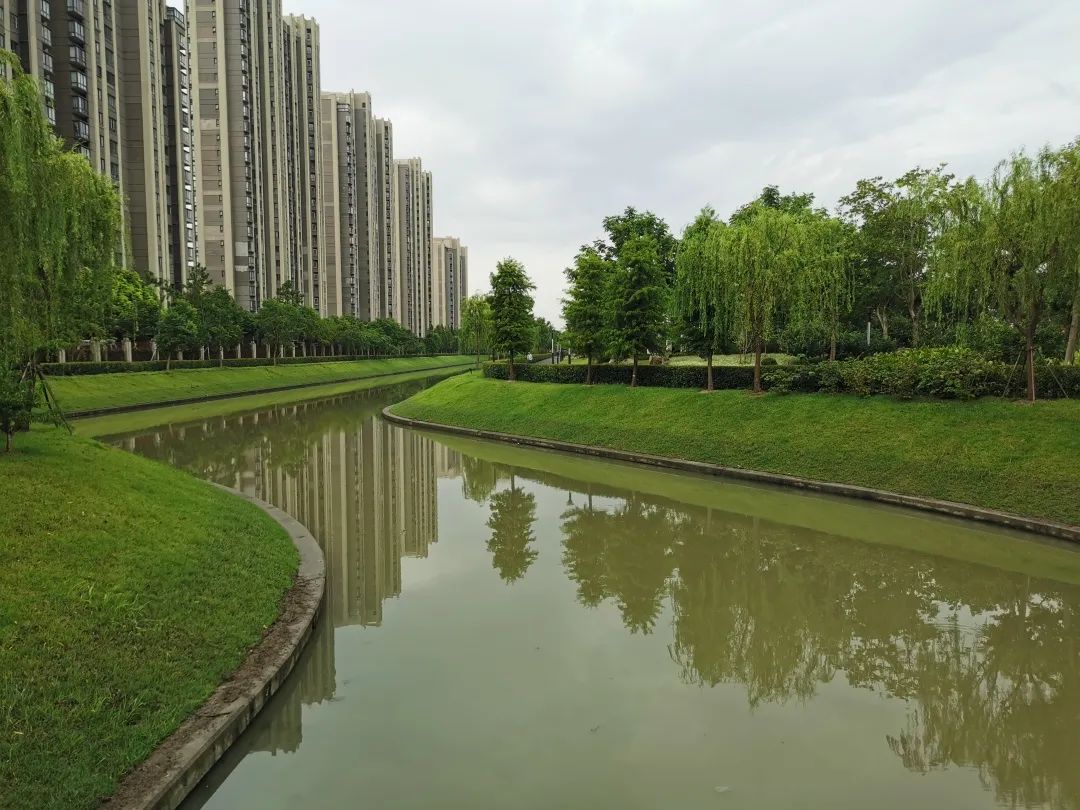 62户居民集中居住!旁边的景观河道将成休闲好去处