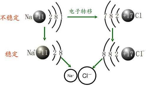 阳离子和阴离子的区别?
