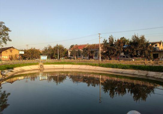 礼泉县西张堡镇:小涝池 大作用