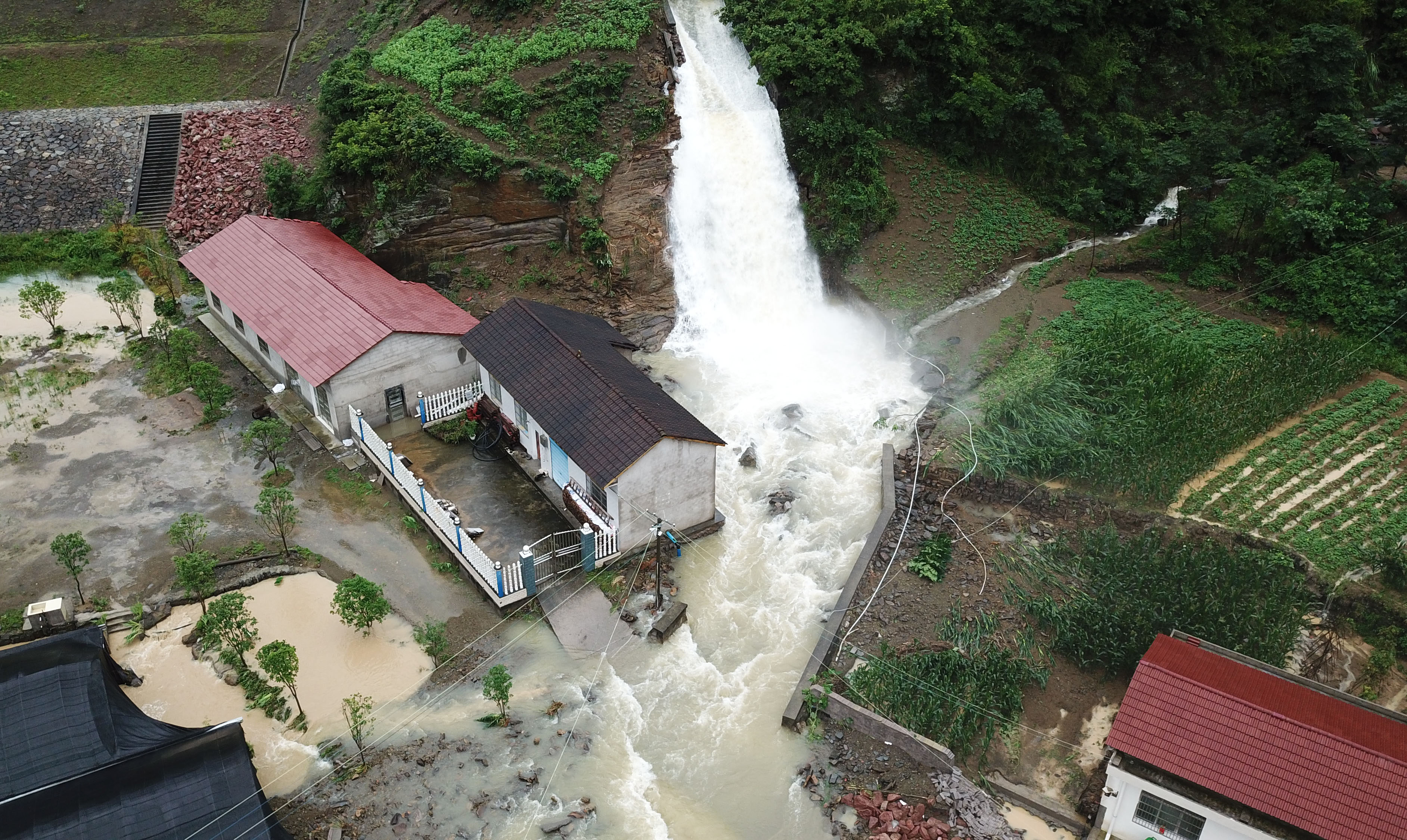 洪涛轰鸣响彻山谷 激流连根冲走大树——湘西北洪灾一线直击(1)