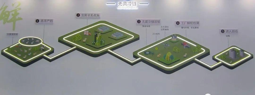 冠尔优羊奶粉——5g智慧牧场