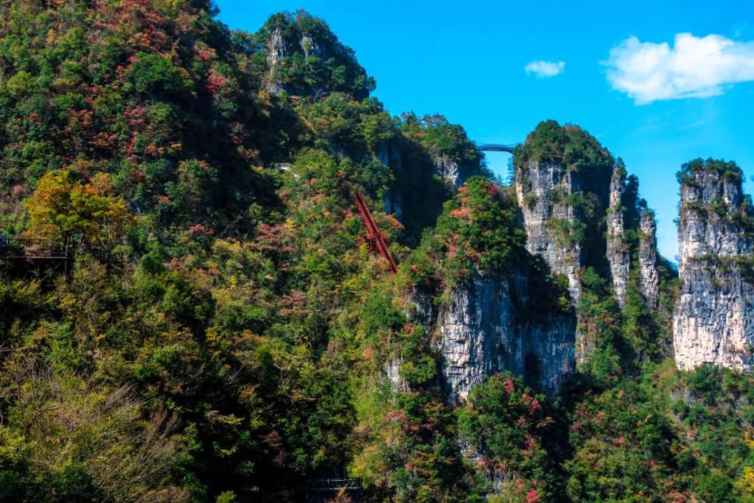 万山资料及图片图片