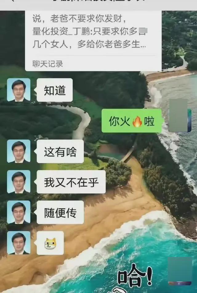 投资人丁鹏妻子图片