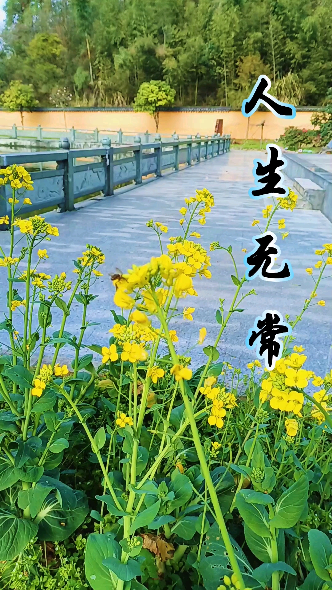 人生就是一场修行