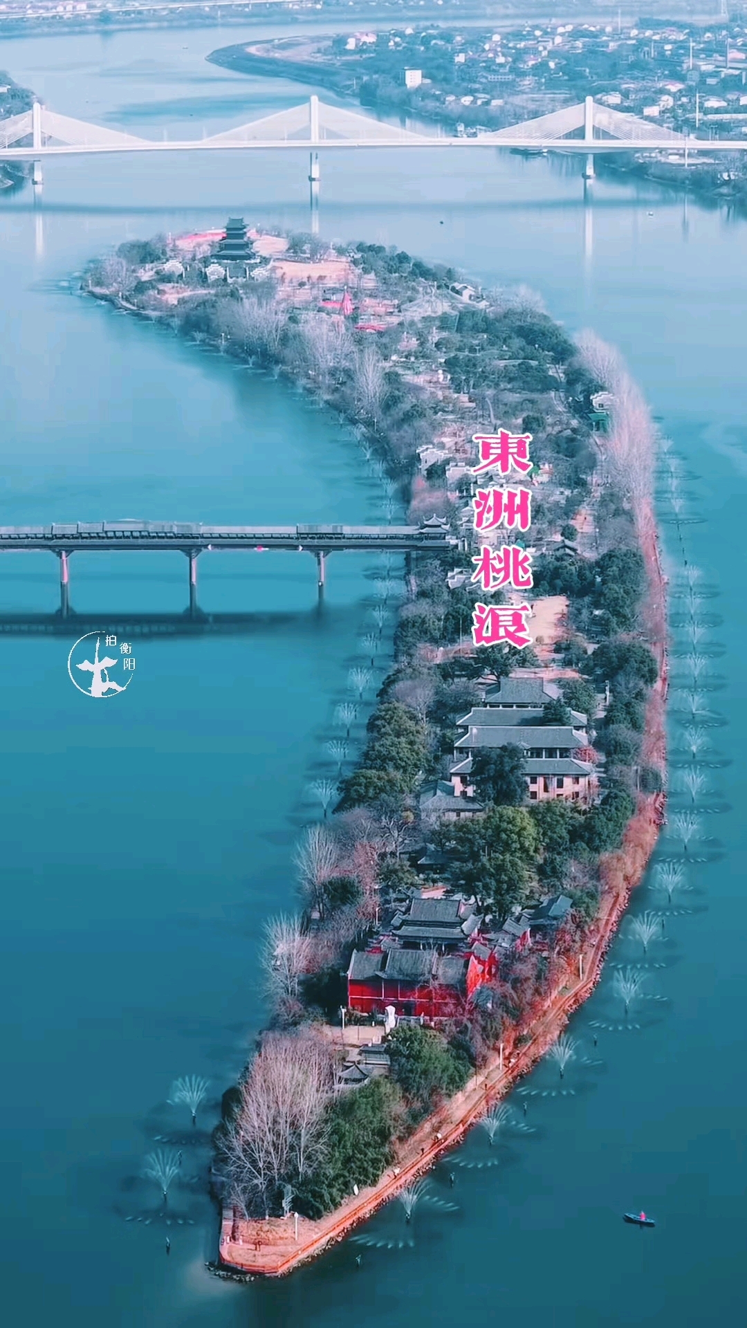 东洲岛桃花开了! #衡阳 #周末不忙去趟衡阳#桃花