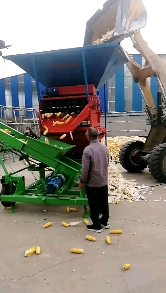 玉米扒皮机,苞米剥皮机加玉米输送带送玉米囤