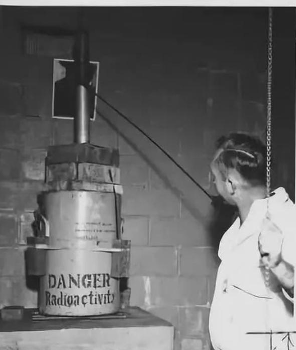 食人蝇堪称嗜血钻头,近百万牲畜被活吃,专家力挽狂澜使出杀手锏