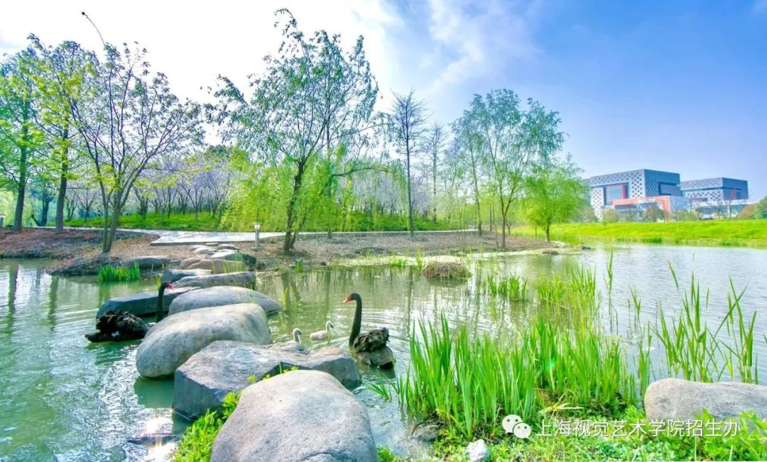 上海视觉艺术学院风景图片