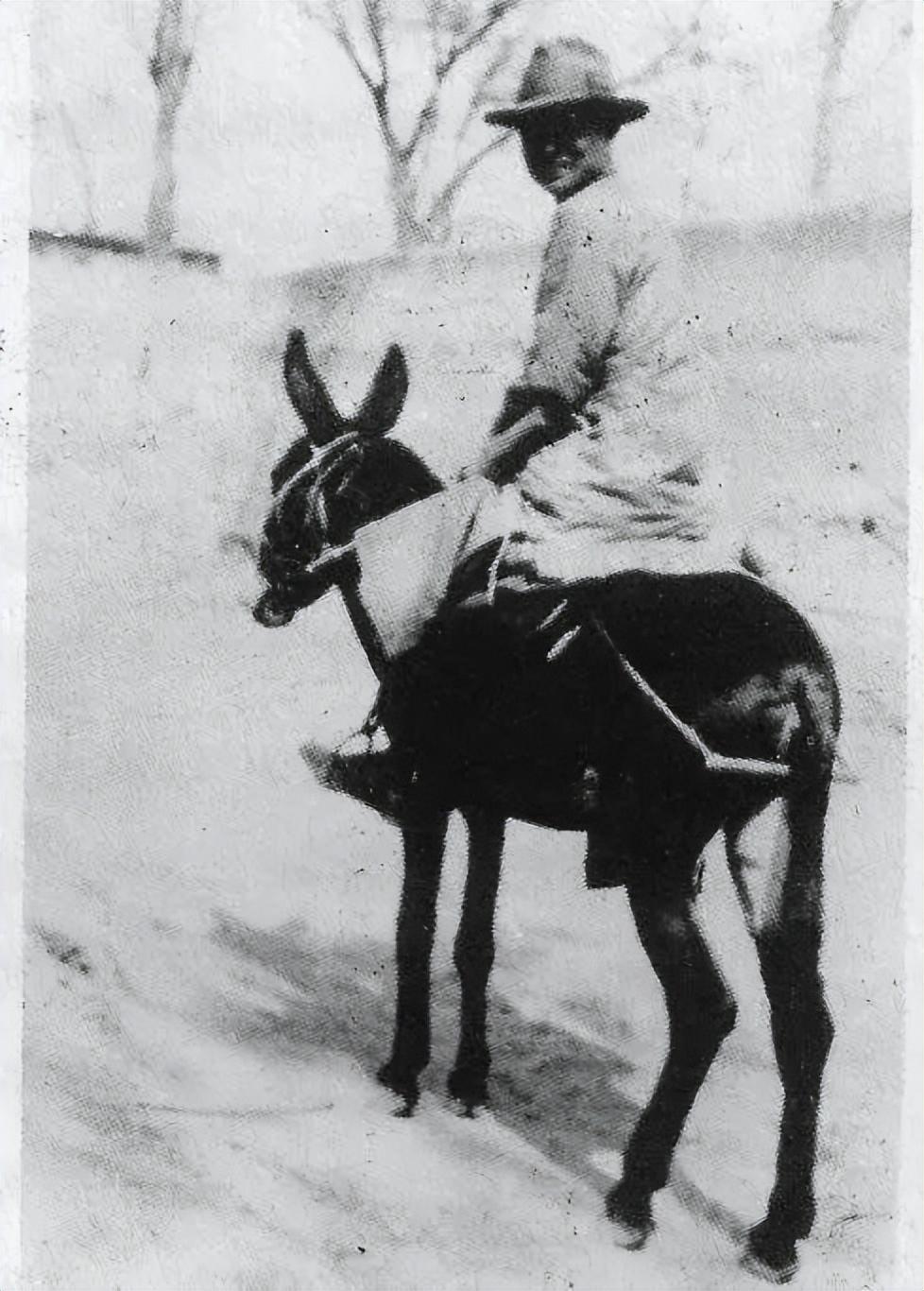 晏阳初:1920年回国为平民扫盲,娶混血妻相伴一生,100岁去世