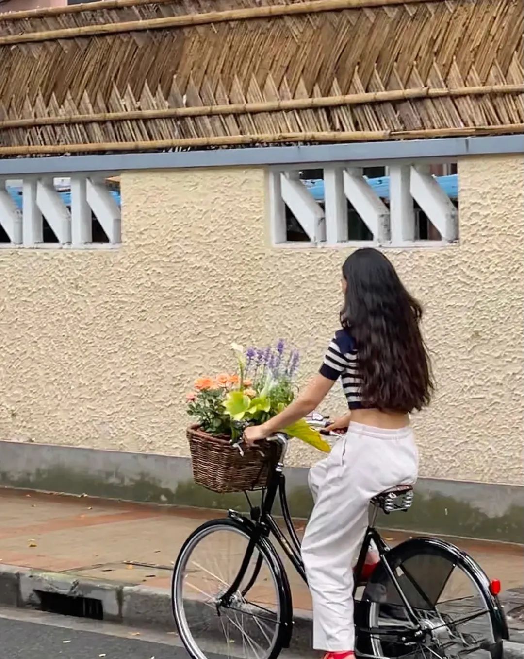 这波被疫情耽误的人,也要看春天:愿三月的花,四月再开