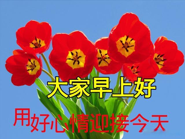 最新早上好动态表情图片大全,清晨早上好问候语