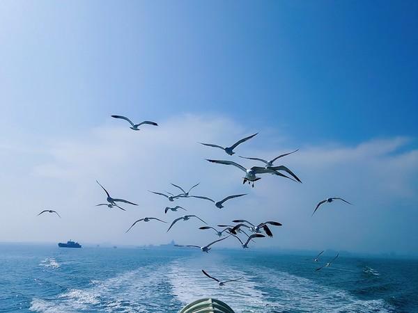 辽宁大连哈仙岛:有东北最好的沙滩,毕业旅行最佳去处