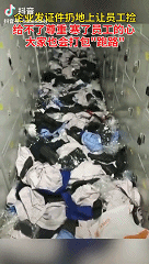 |江苏一公司粗暴发工作证后大批员工离职，专家：公司涉嫌侵犯员工人格