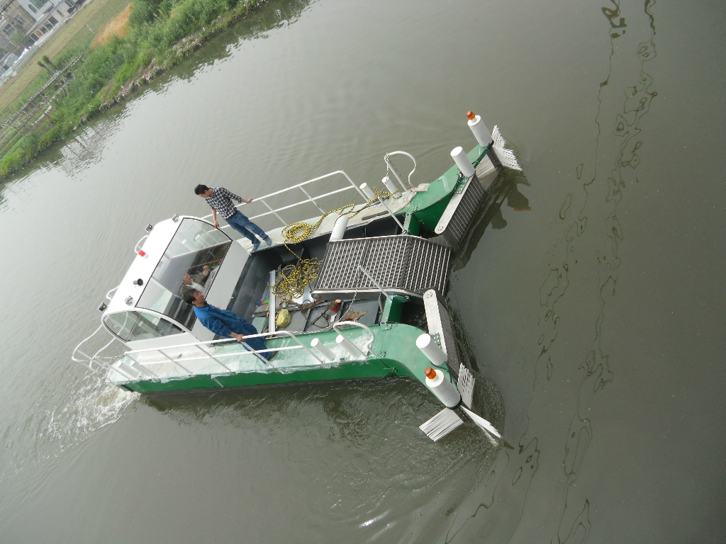 这样的鱼能吃吗?