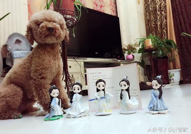 晒晒杨紫住的豪宅,装修比宫殿豪华,30多岁成为人生赢家