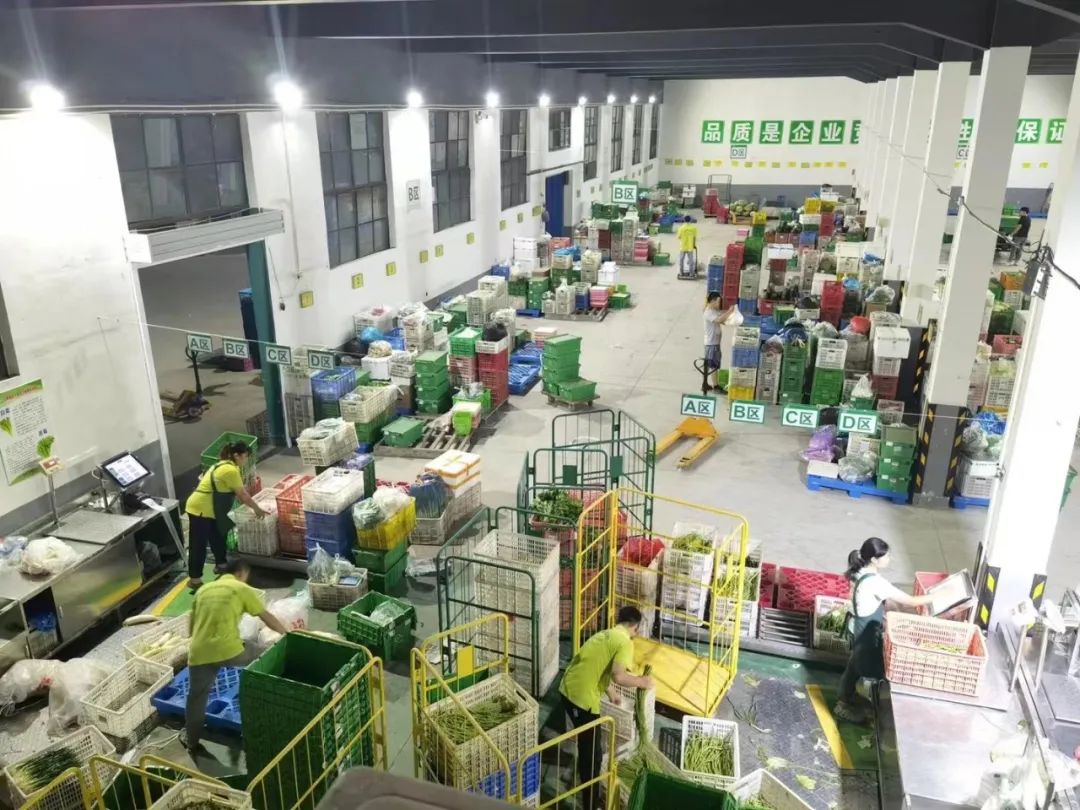 每月超500万营业额的生鲜配送公司,60秒带你做蔬菜分拣管理