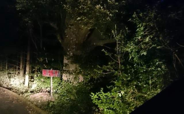 日本最神奇的村落——巨头村