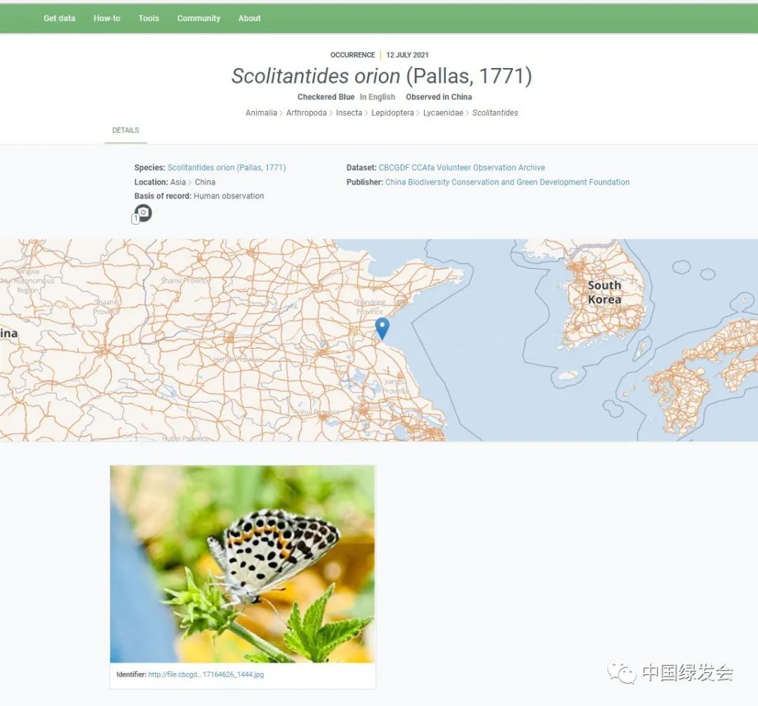绿会gbif工作组上传珞灰蝶数据