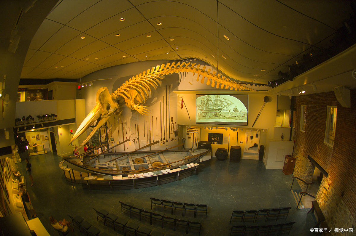 南京十大著名博物馆:从古至今,这座城市让你惊奇不已!