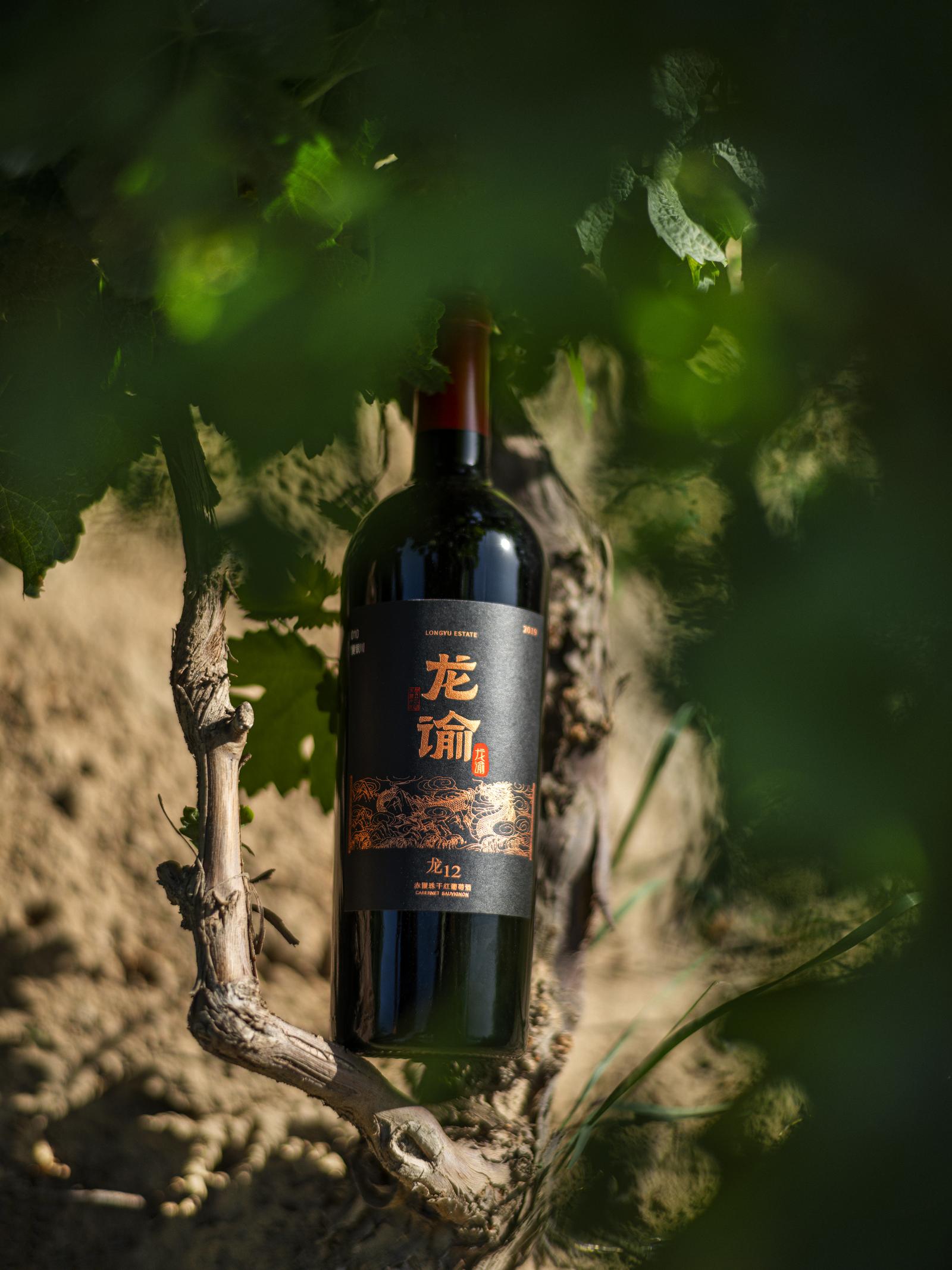 从进驻全球50国的龙谕看宁夏葡萄酒如何"叫好又叫座"