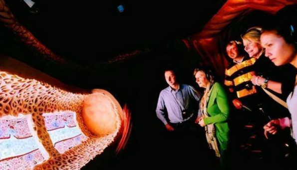 荷兰"重口味"博物馆,内部人体展示逼真,女游客不敢看