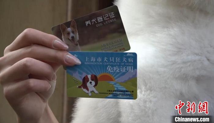 上海开展养犬行为专项整治 当场可处50元以下罚款