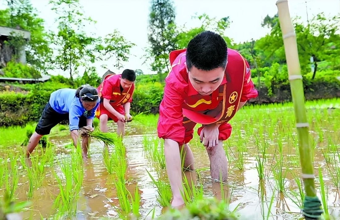 如何看待现在的农村年轻人,不喜欢务农,而且还赚不到钱?